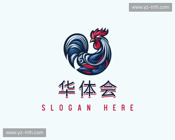 关于华体会